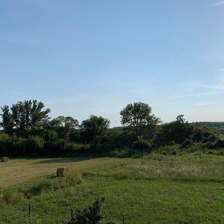 Feher Orchidea Apartman Egerszalók Εξωτερικό φωτογραφία